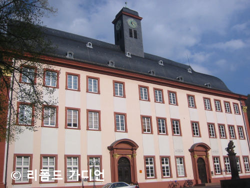 하이델베르크 대학교